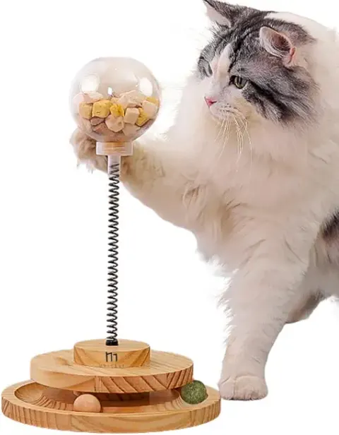 Cat Bowls with Water Dispenser