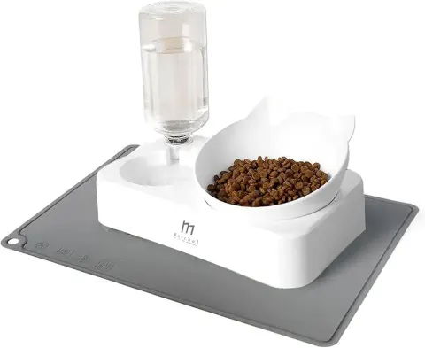 Cat Bowls with Water Dispenser