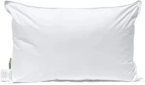 Pillowtex Great for Stomach Sleepers Pillow