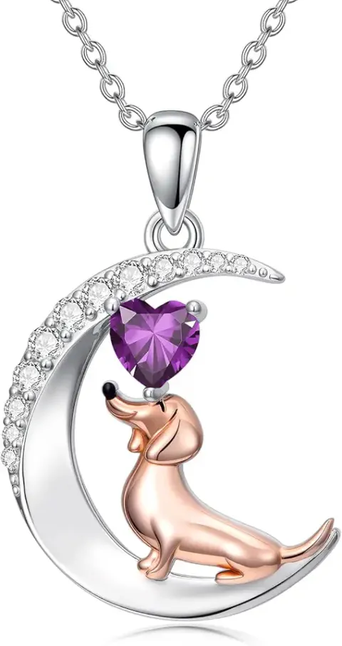 Proess Sterling Silver Infinity Heart Birthstone Necklace